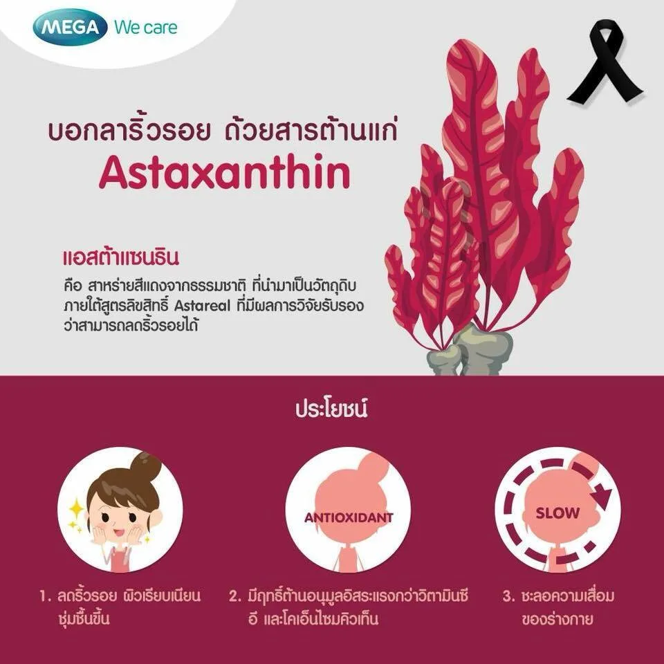 2X Mega We Care Astax Astaxanthin 4mg Antioxidant Anti-Aging Wrinkles 30 Caps - Image 3